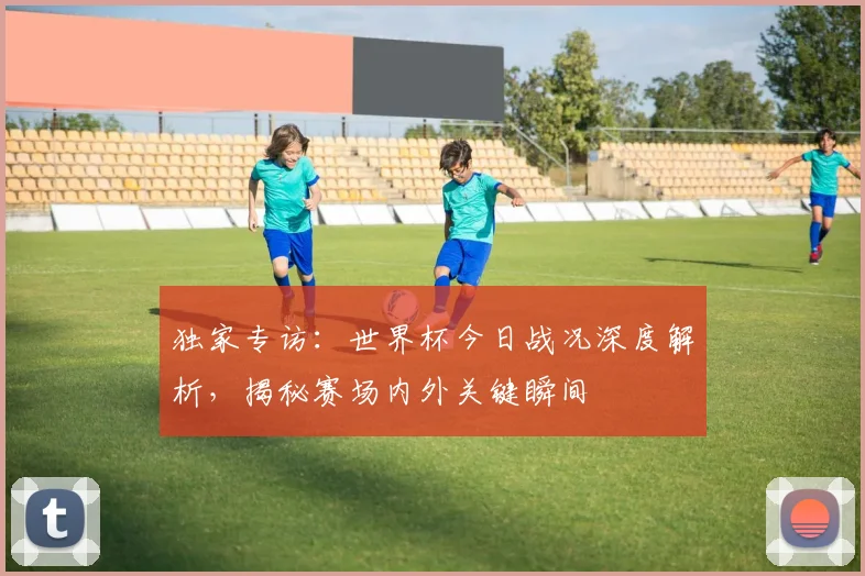 独家专访：世界杯今日战况深度解析，揭秘赛场内外关键瞬间